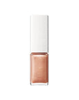Addiction The Lip Gloss (Summer 2026)