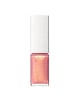 Addiction The Lip Gloss (Summer 2026)