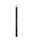 Addiction The Lip Pencil