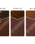 Beauty Labo Whip Hair Color