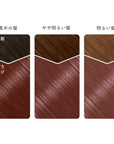 Beauty Labo Whip Hair Color