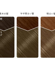 Beauty Labo Whip Hair Color