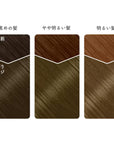Beauty Labo Whip Hair Color