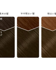 Beauty Labo Whip Hair Color