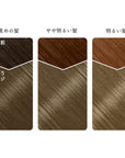 Beauty Labo Whip Hair Color