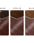Beauty Labo Whip Hair Color