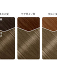 Beauty Labo Whip Hair Color