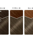 Beauty Labo Whip Hair Color