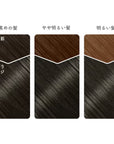 Beauty Labo Whip Hair Color