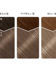 Beauty Labo Whip Hair Color