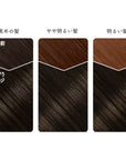 Beauty Labo Whip Hair Color
