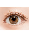 D-UP Lash Focus