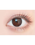 Envie UV One-Day Color Contact Lenses Chameau Brown