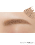 Ettusais Eye Edition Brow Concealer
