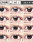 EverColor 1 Day Luquage Contact Lenses Modern Labeige