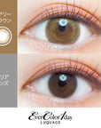 EverColor 1 Day Luquage Contact Lenses Airy Brown