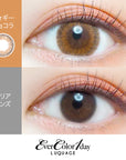 EverColor 1 Day Luquage Contact Lenses Foggy Chocolat