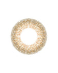EverColor 1 Day Luquage Contact Lenses Gloss Amber