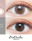 EverColor 1 Day Luquage Contact Lenses Modern Labeige