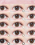 EverColor 1 Day Natural Contact Lenses Milk Brownie