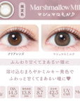 EverColor 1 Day Natural Contact Lenses Marshmallow Milk