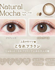 EverColor 1 Day Natural Contact Lenses Natural Mocha