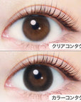 EverColor 1 Day Natural Contact Lenses Natural Black
