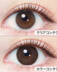 EverColor 1 Day Natural Contact Lenses Natural Brown