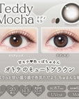 EverColor 1 Day Natural Contact Lenses Teddy Mocha