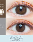 EverColor 1 Day Natural Moist Label UV Contact Lenses Brown Mariage