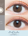 EverColor 1 Day Natural Moist Label UV Contact Lenses Ennui Look