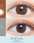 EverColor 1 Day Natural Moist Label UV Contact Lenses Innocent Glam