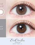 EverColor 1 Day Natural Moist Label UV Contact Lenses Rose Muse