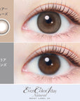 EverColor 1 Day Natural Moist Label UV Contact Lenses Tear Muse