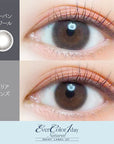 EverColor 1 Day Natural Moist Label UV Contact Lenses Urban Noir