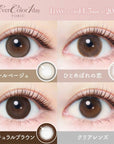EverColor 1 Day Toric Contact Lenses Hitomebore no Koi