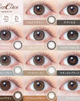 EverColor Monthly Contact Lenses Teddy Mocha