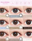 Evercolor 1 Day Millimore Contact Lenses Amaenbo Cacao