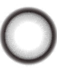 Evercolor 1 Day Millimore Contact Lenses Namaiki Sugar