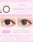 Evercolor 1 Day Millimore Contact Lenses Tokimeki Whip