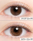 Evercolor Monthly Eye Genic Contact Lenses Sepia Mist