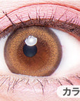 Flurry by Colors Contact Lenses Ring Orange Brown