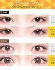 Flurry by Colors Contact Lenses Ring Large Brown
