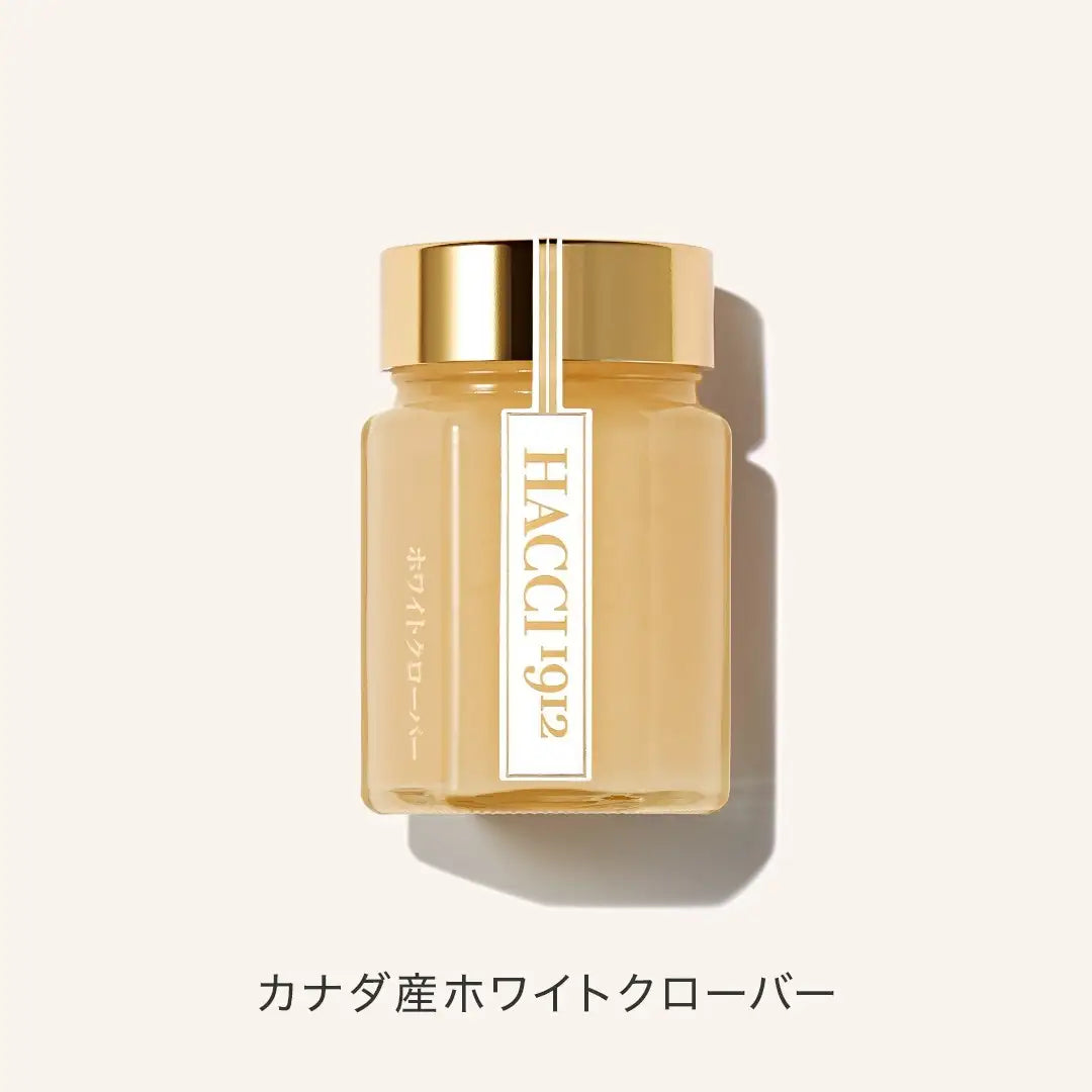Hacci Honey Holiday Gift 2026 Holiday Collection – Ichiban Mart