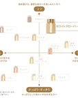 Hacci Honey Holiday Gift 2026 Holiday Collection