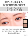 Kanebo Eye Signalizer