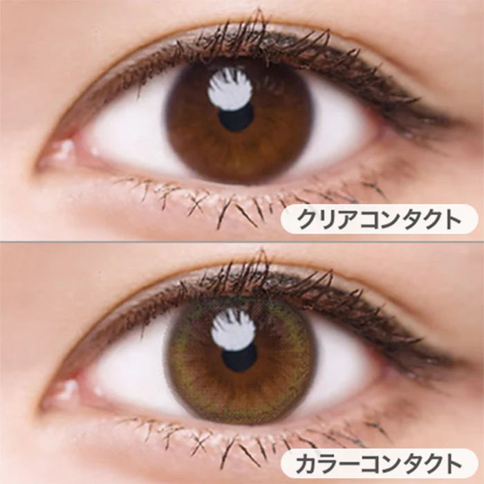 LuMia 2week Contact Lenses Chiffon Olive – Ichiban Mart