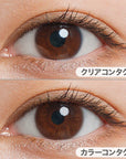 LuMia Comfort 1 Day Contact Lenses Puff Brown