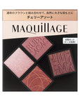 Maquillage Customized Eye Color Assortment