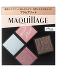 Maquillage Customized Eye Color Assortment